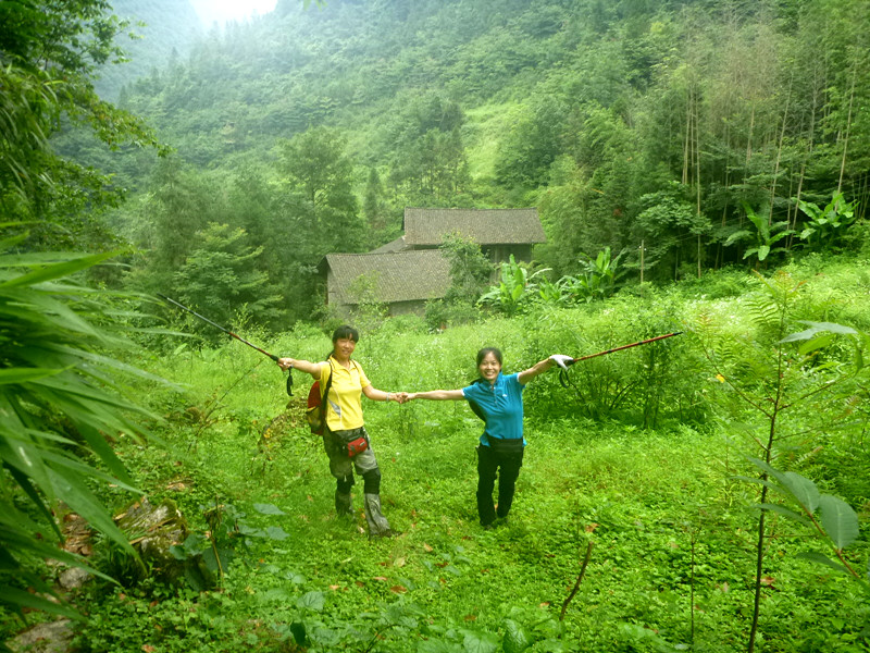p1150833_.jpg