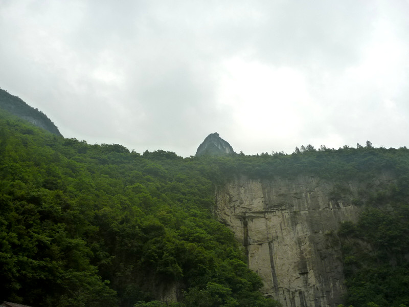 p1150952_.jpg