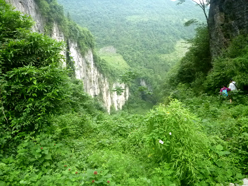 p1150929_.jpg