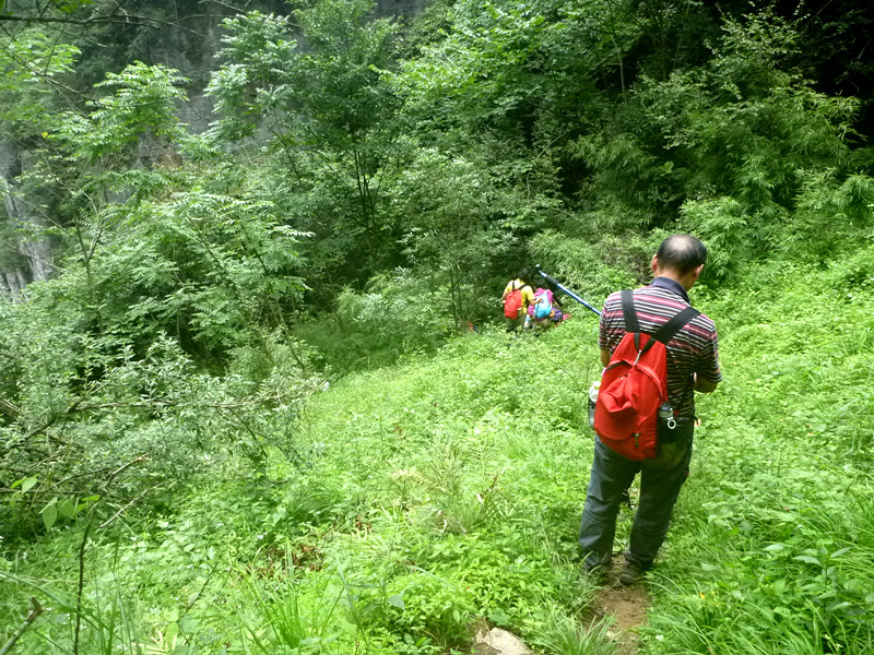 p1150930_.jpg