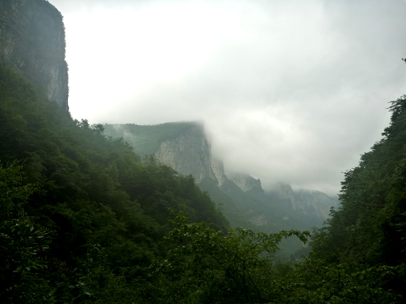 p1150974_.jpg