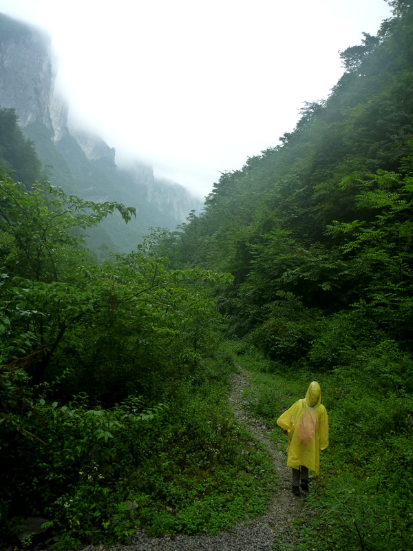 p1150975_.jpg