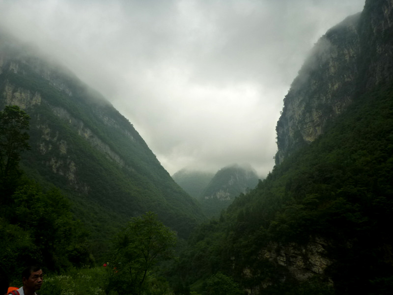 p1150980_.jpg