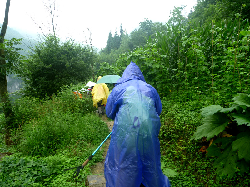 p1150970_.jpg