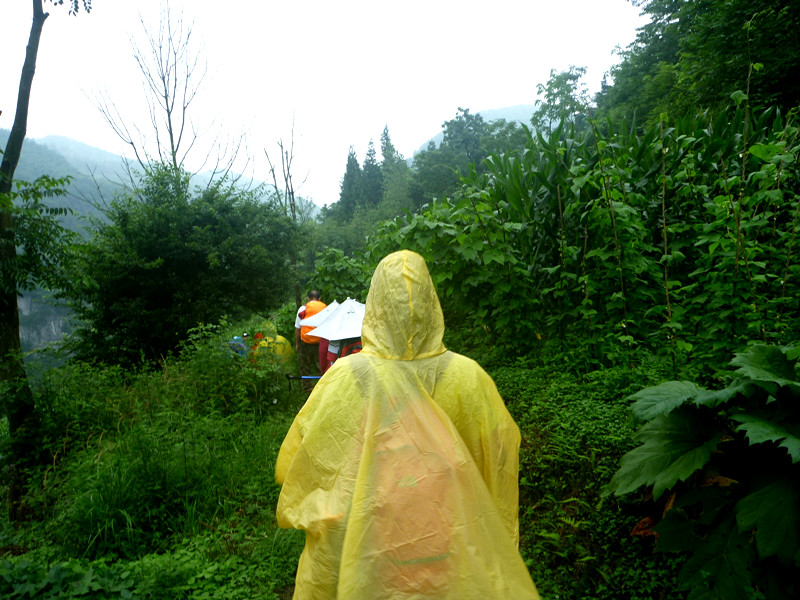 p1150969_.jpg