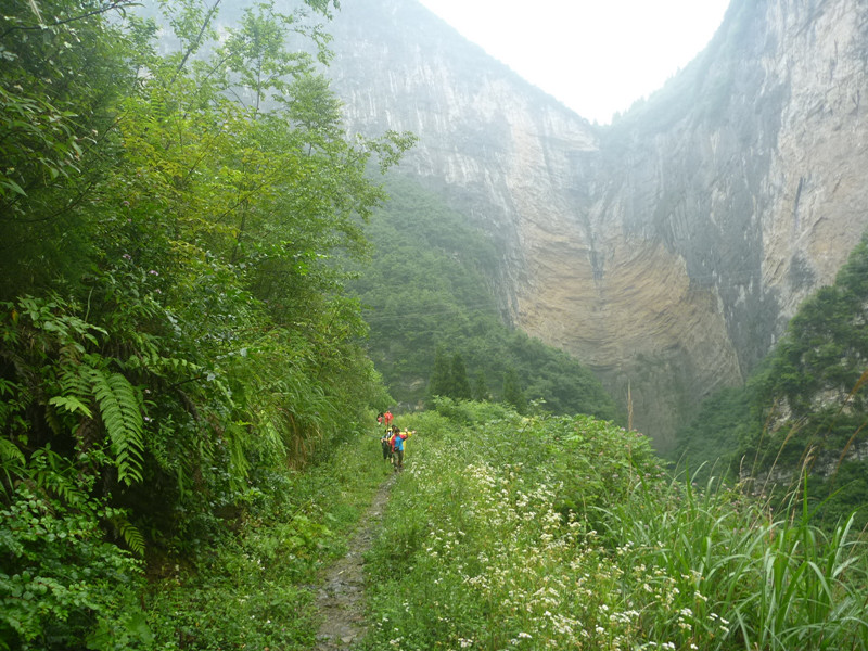 p1150985_.jpg