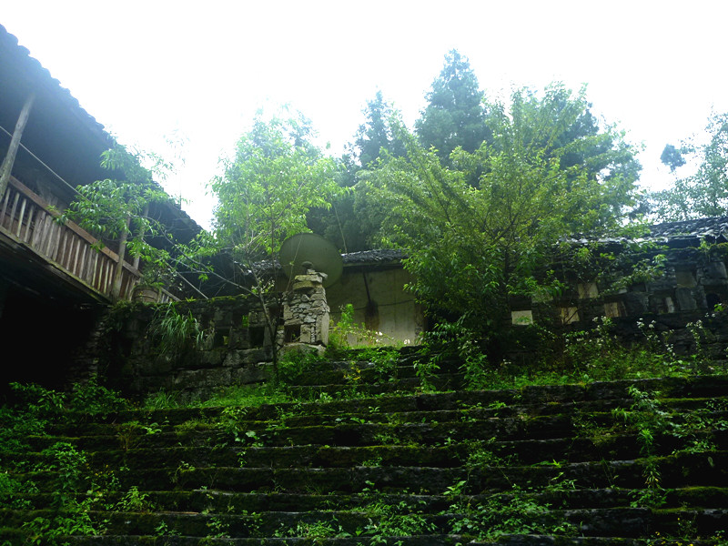 p1150983_.jpg