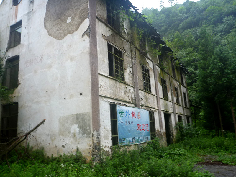 p1150991_.jpg