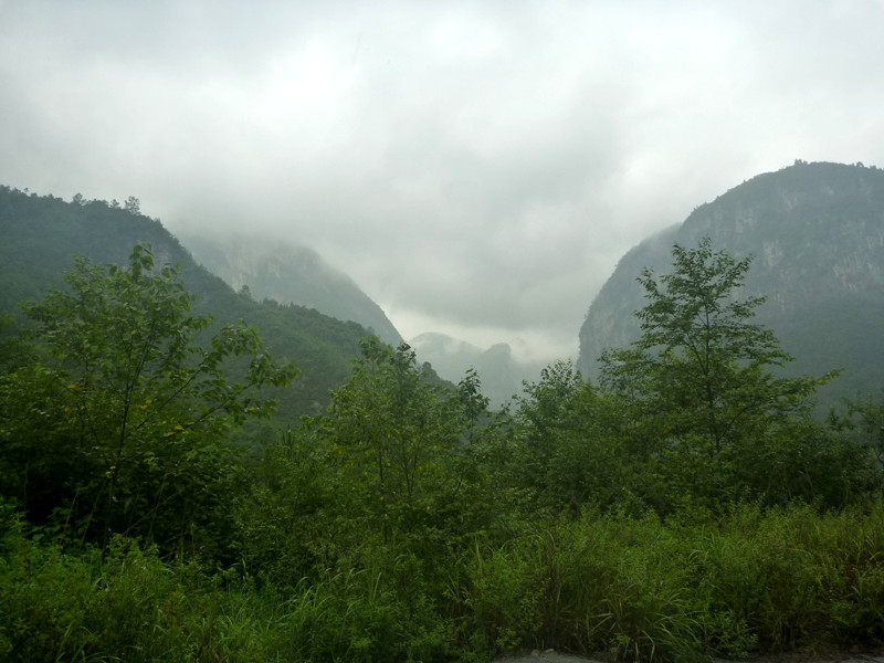 p1150992_.jpg