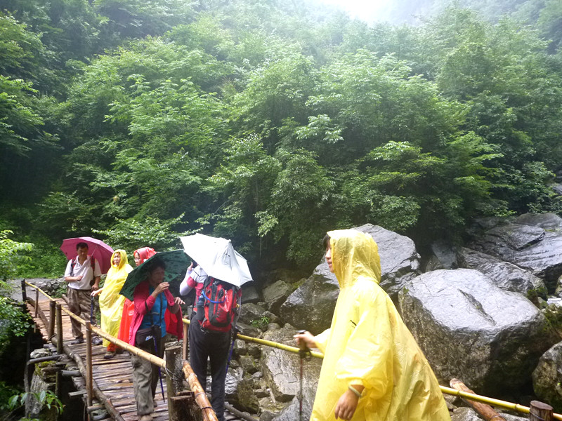 p1150972_.jpg