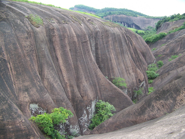 100_9815.jpg
