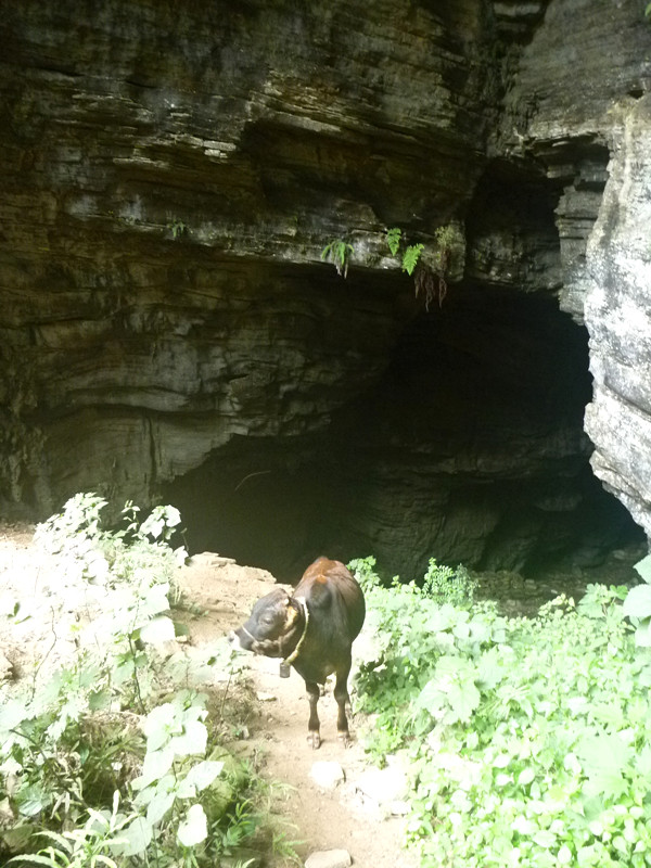 p1150913_.jpg