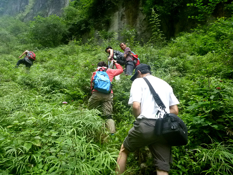 p1150919_.jpg