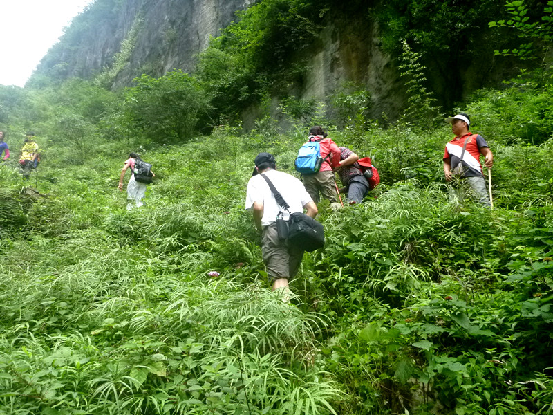 p1150920_.jpg