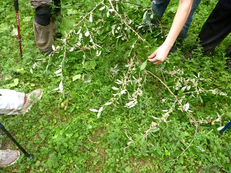 p1150922_.jpg