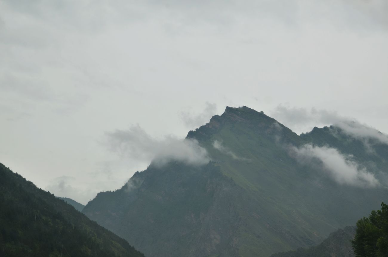 neo_img_dsc_4172.jpg