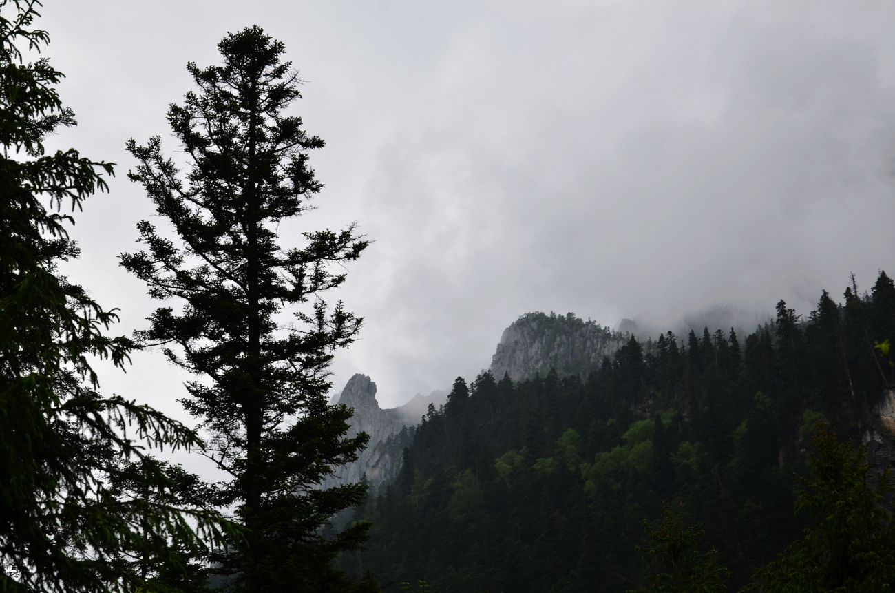 neo_img_dsc_4188.jpg