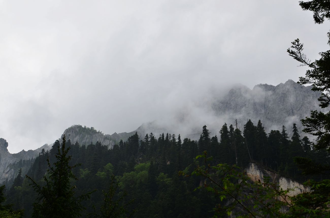 neo_img_dsc_4194.jpg