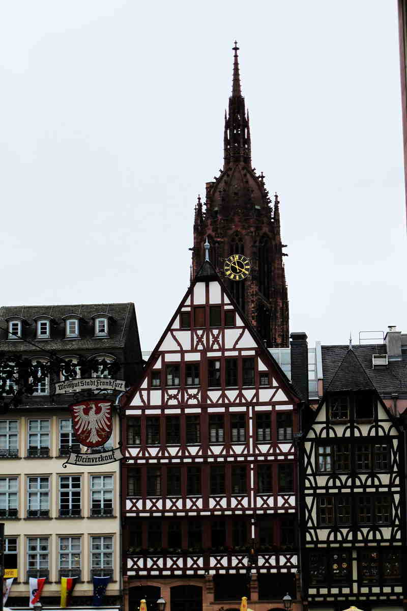 img_6197_.jpg