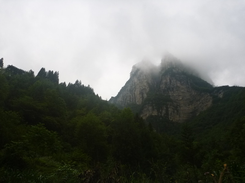 p1160028_.jpg