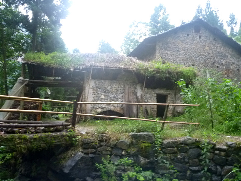 p1160029_.jpg