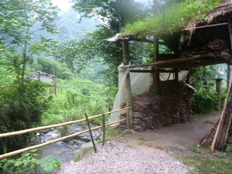 p1160034_.jpg