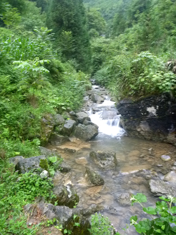 p1160035_.jpg