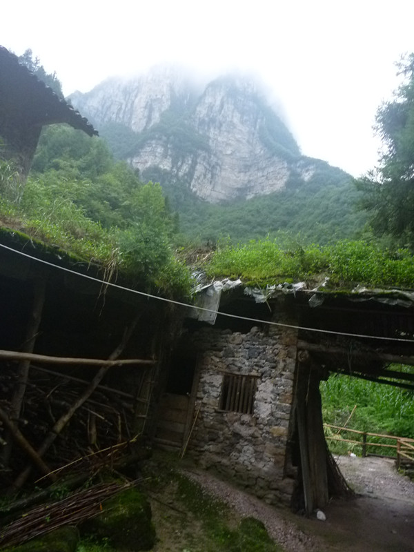 p1160036_.jpg