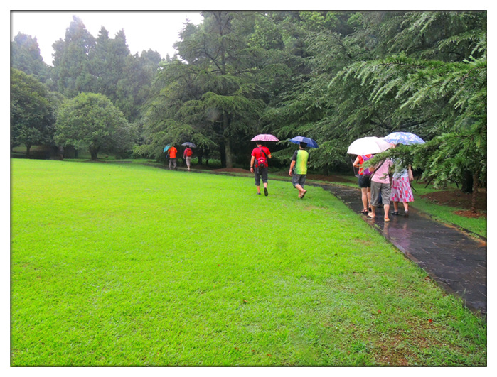 dscn0581_.jpg