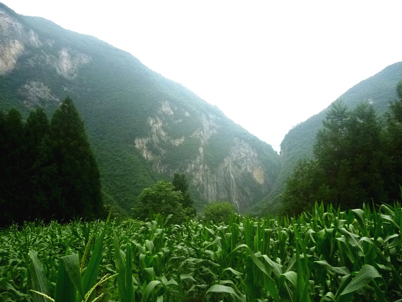 p1160044_.jpg