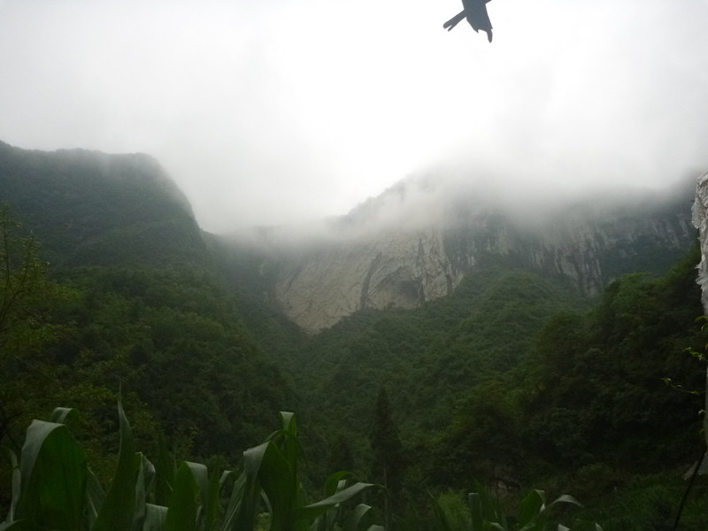 p1160050_.jpg