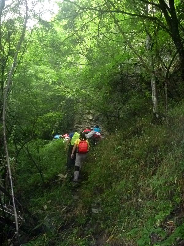 p1160055_.jpg