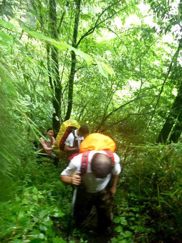 p1160058_.jpg
