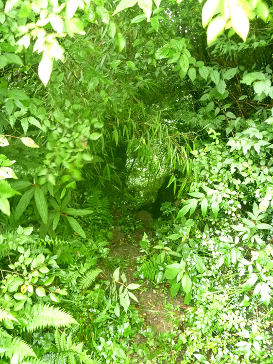p1160063_.jpg