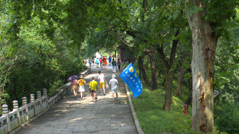 p1060406_.jpg