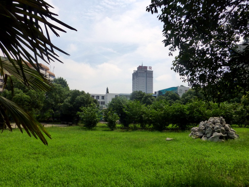 p1080525.jpg