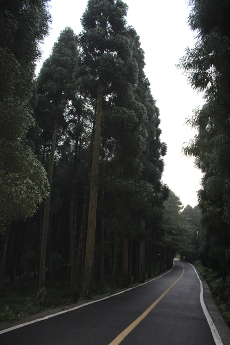 ǧҰݳ 101_.jpg