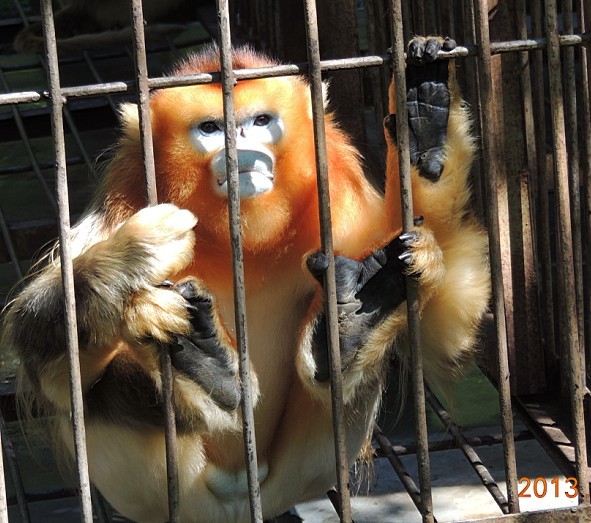 qqͼƬ20130719103947.jpg