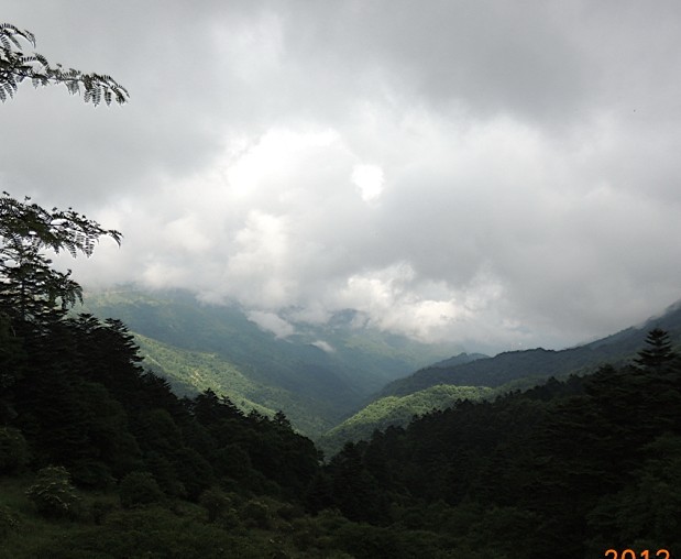 qqͼƬ20130719104129.jpg