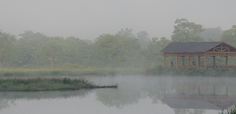 qqͼƬ20130719104511.jpg