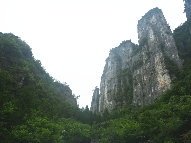 p1160083_.jpg