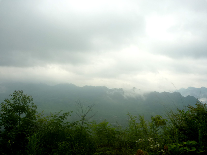 p1160087_.jpg
