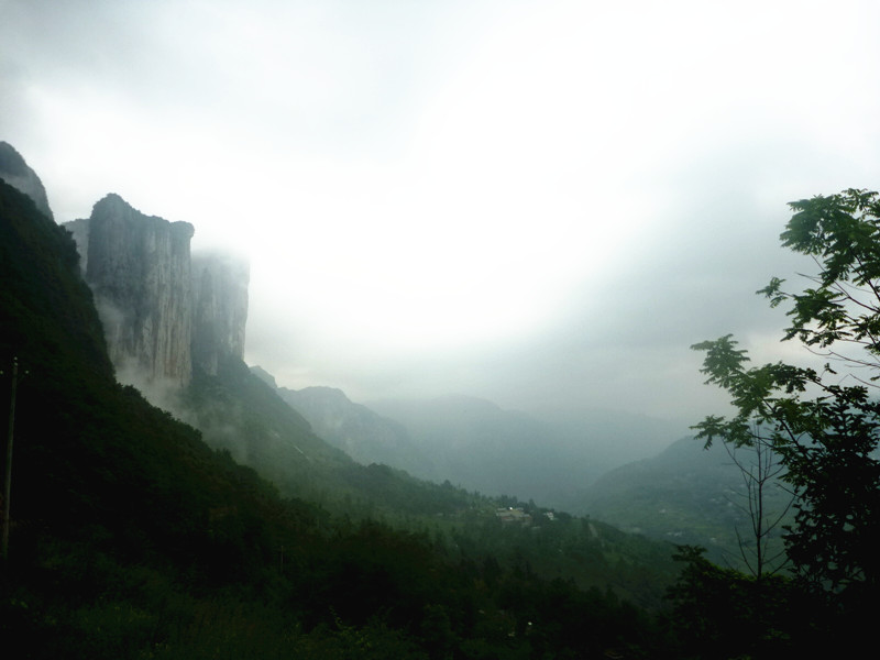 p1160088_.jpg