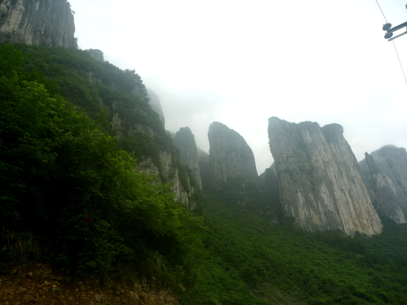 p1160092_.jpg