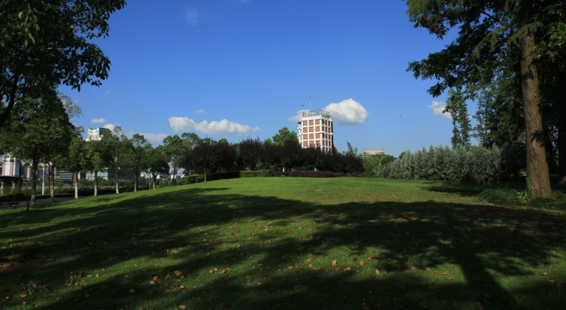 img_3569.jpg