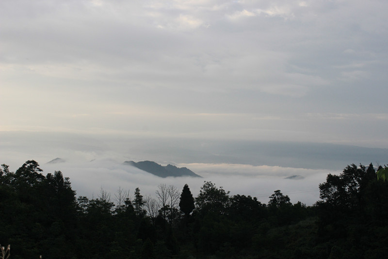 千野草场 121_副本.jpg