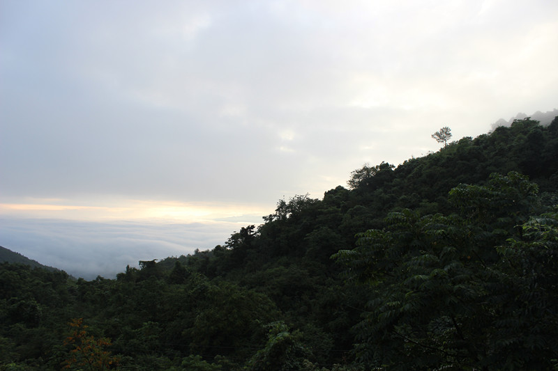 千野草场 126_副本.jpg