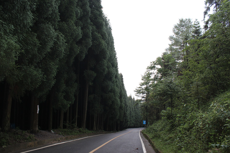 千野草场 128_副本.jpg