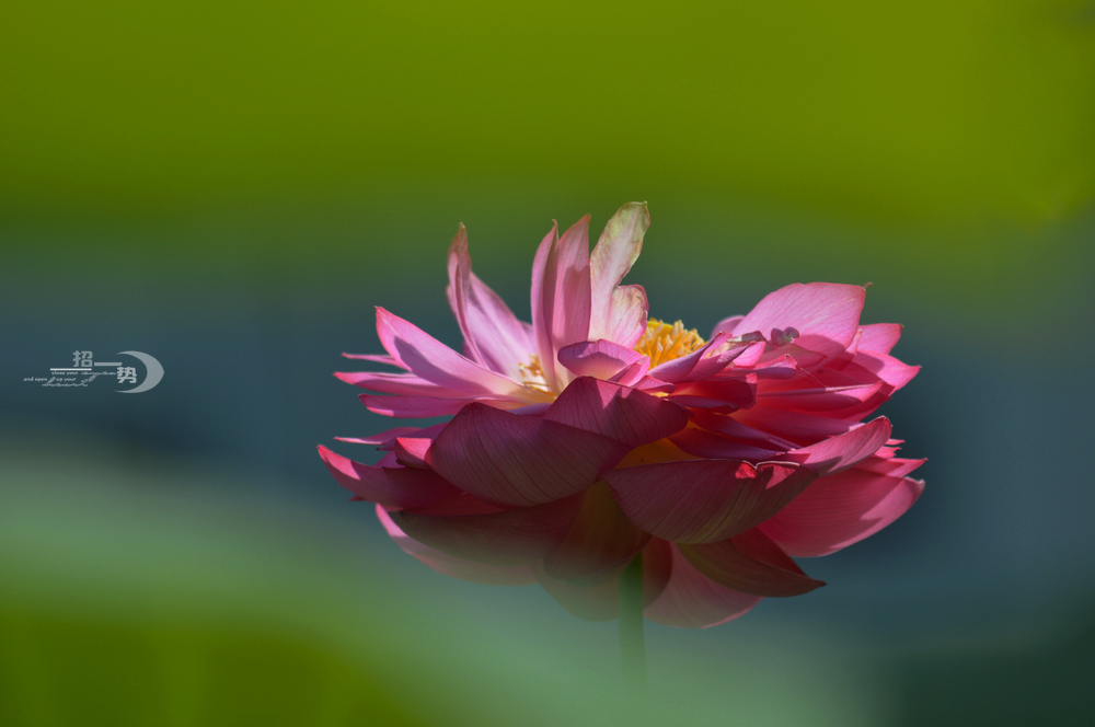 dsc_1147.jpg