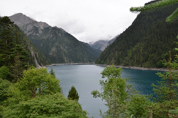dsc_4427.jpg